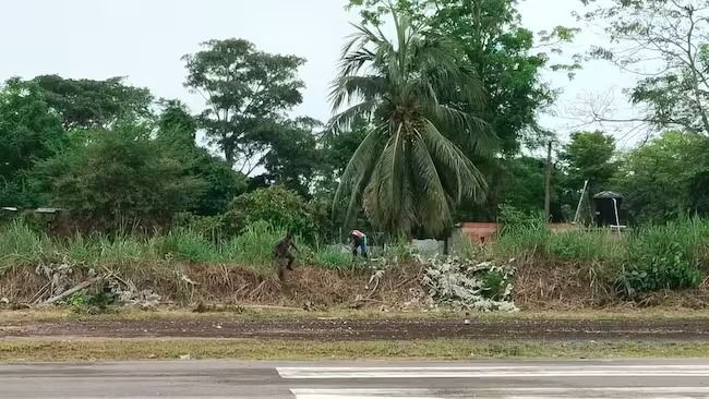 Aeropuerto Tibú El aeropuerto de Tibú llevaba muchos años abandonado.