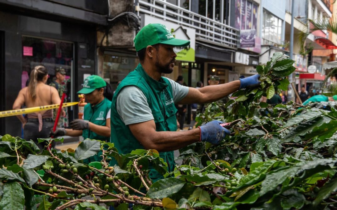 Anuncian intervención en Cielos Abiertos.